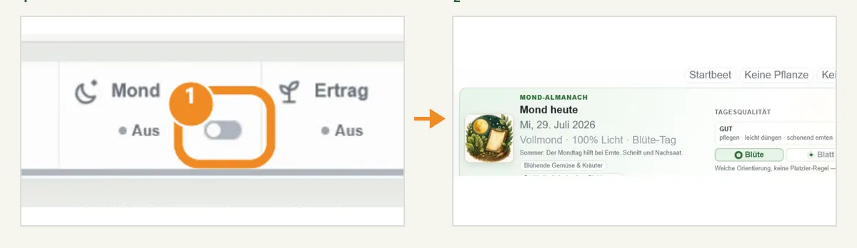 Mondkalender im Garten öffnen