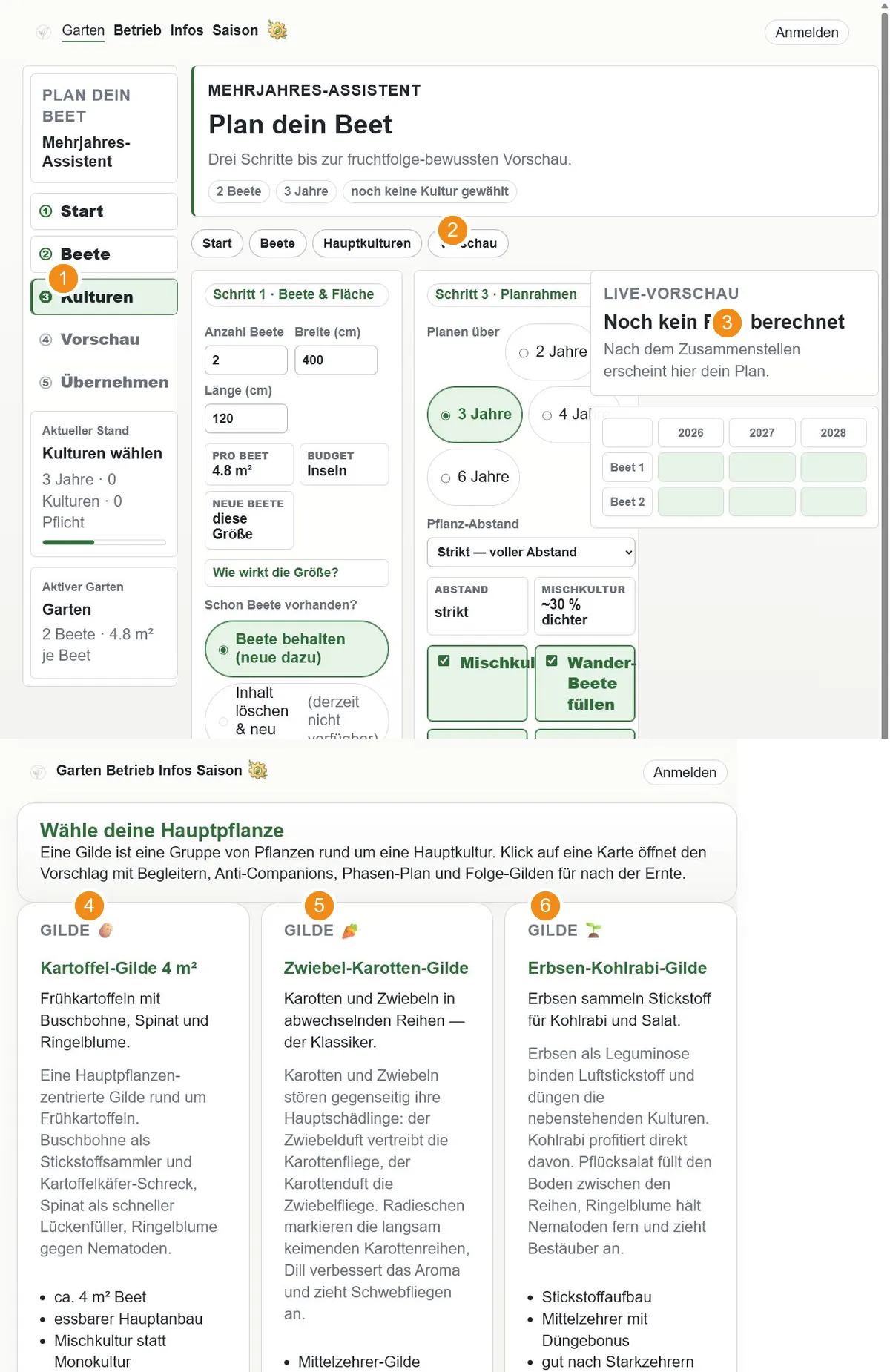 Mehrjahres-Assistent und Auswahl einer Gildenplanung