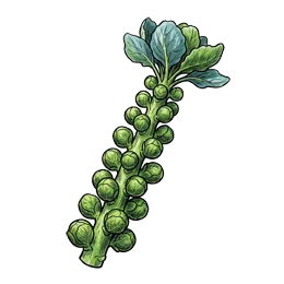 Rosenkohl – Pflanze oder Frucht
