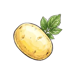 Frühkartoffeln – Pflanze oder Frucht