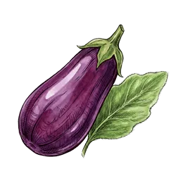 Aubergine – Pflanze oder Frucht