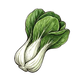 Pak Choi – Pflanze oder Frucht