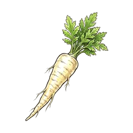 Pastinake – Pflanze oder Frucht
