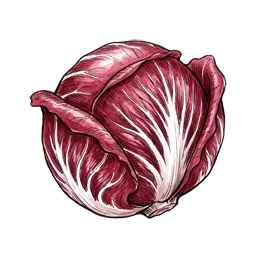 Radicchio – Pflanze oder Frucht