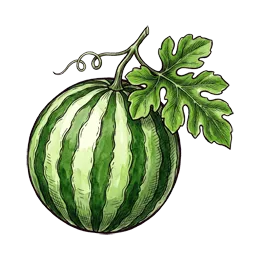 Wassermelone – Pflanze oder Frucht