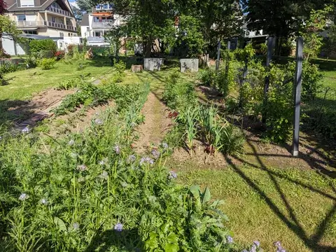 Sonniger Blick entlang schmaler Wege und Gemüsebeete mit niedrigen Pflanzreihen und blühenden Beeträndern.