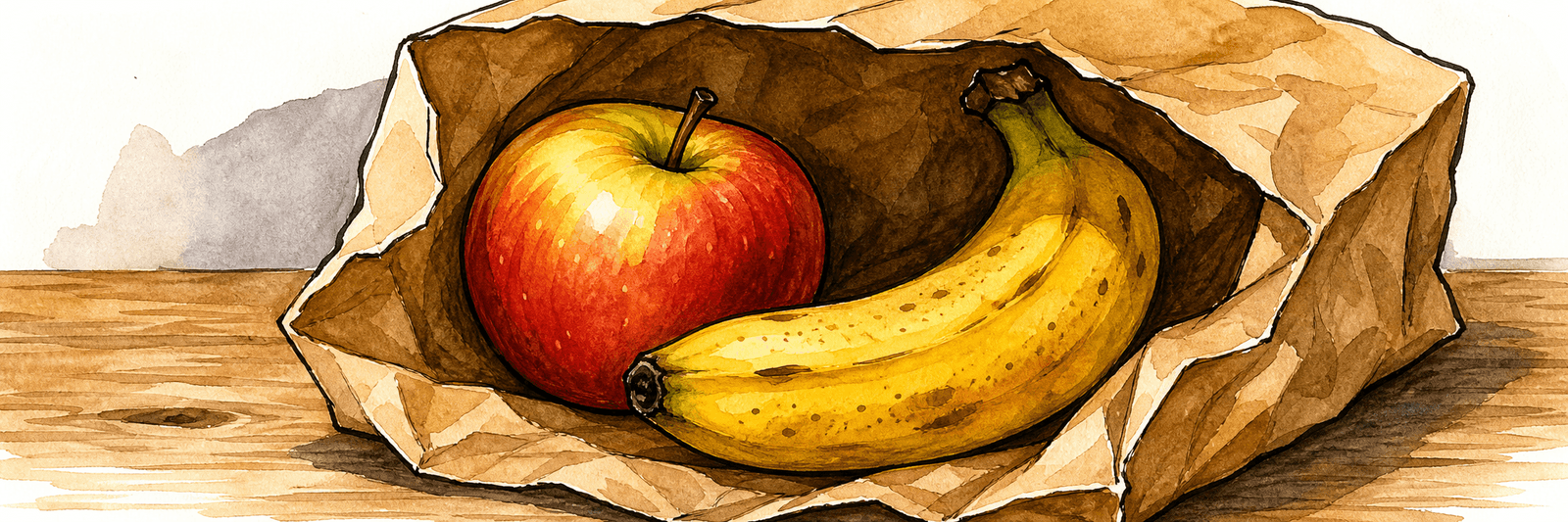 Ein Apfel und eine Banane zusammen in einer Papiertüte beim Nachreifen
