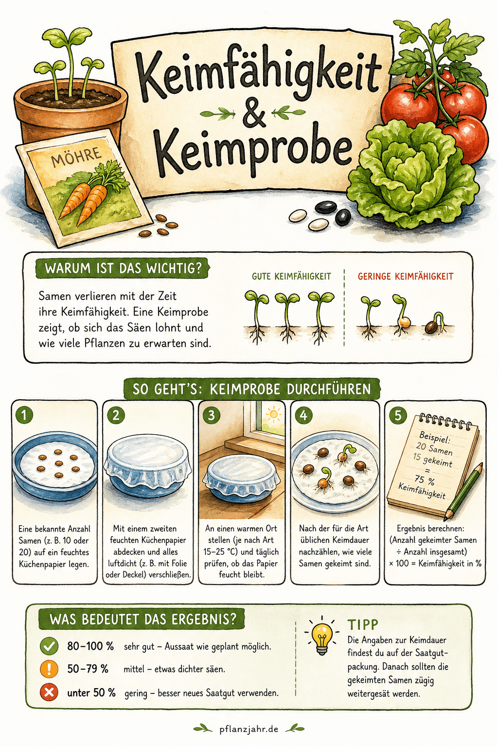 Infografik: Keimfähigkeit & Keimprobe