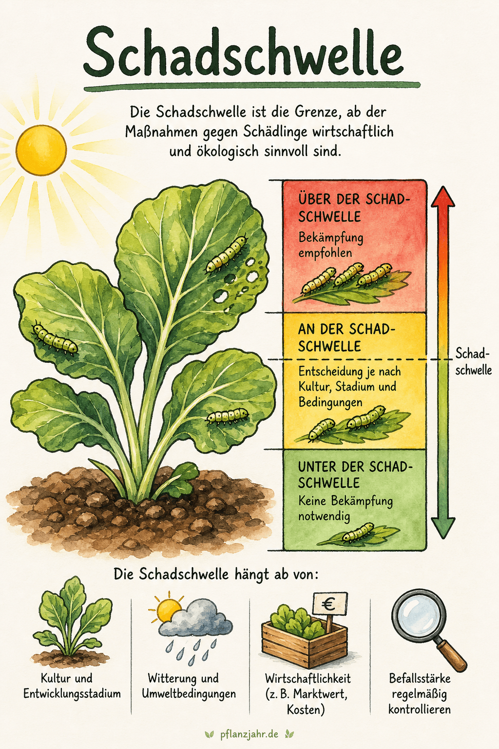 Infografik: Schadschwelle (Befallsschwelle)